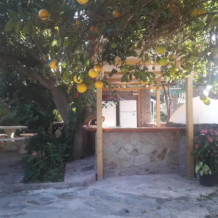 Aguacates Daire Trapiche (Las Palmas)