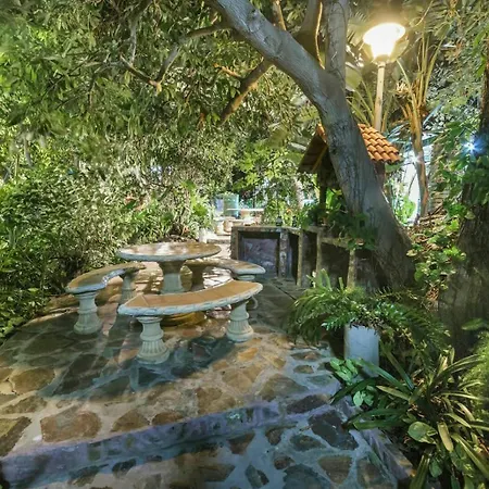 Aguacates Trapiche (Las Palmas)