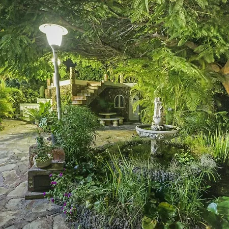 Aguacates * Trapiche (Las Palmas)